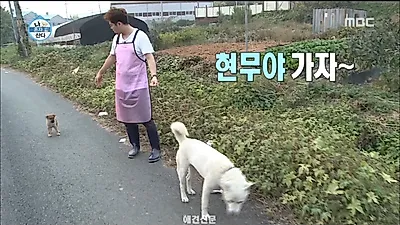 '나 혼자 산다' 전현무, 유기견 센터로 봉사 가다…