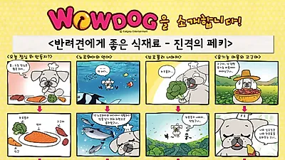 [와우독] 반려견에게 좋은 식재료-진격의 페키