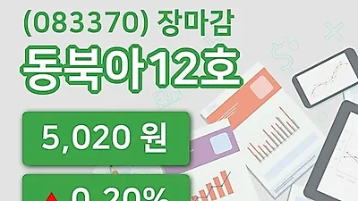 국내주식마감동북아12호 11일 5,020원 마감그래프통계 및 분석