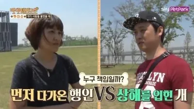 '마이펫 연구소', 개가 사람을 물었을때 누구의 책임일까