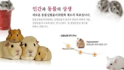 동물보호과, 10주년 기념 심포지엄 개최