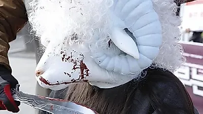 동물단체 케어 "할랄 도축장 건설계획 즉각 중단하라"