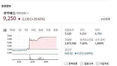 셀루메드 주가, 관절 손상 억제 BMG  국내 최초 개발 이어 품목 허가 승인 소식 전해져