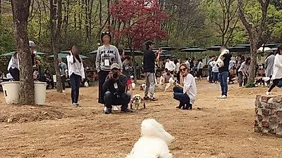레인보우 재경, 마카롱과 즐거운 시간..."신나쪙!"