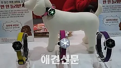 [포토]스마트한 강아지용 만보계 스타워크, '2015 케이펫페어'