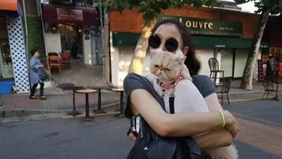 이엘, "평생 사랑할 내 고양이 망고" 애정 가득