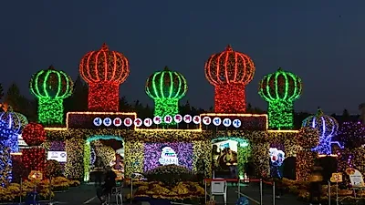 [주말가을여행] '마산가고파X익산천만송이' 국화 축제 시간·야경·먹거리·맛집 총정리