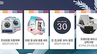 부천, 수원 강아지/고양이분양 전문 ㈜미니펫, 가을 이벤트 진행
