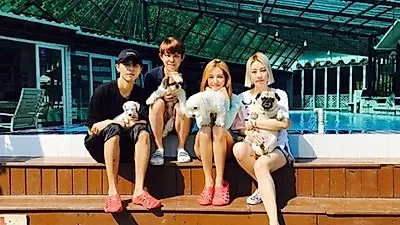 레인보우 재경 반려견 마카롱, "매력가득 멍멍이들"