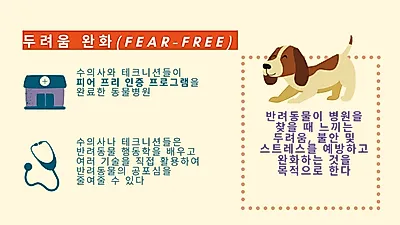 병원 무서워하는 반려동물, 불안·스트레스 완화하는 방법은?