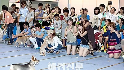 [포토]'웃음 만발' 애견달리기 현장, 서울 FCI 국제 도그쇼