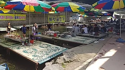 경기도 장흥 맛집 '싸릿골초가', 서울근교 계곡에서 맛보는 백숙