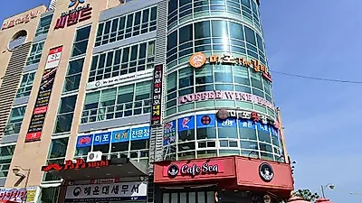 해운대 맛집, 참치와 연어 미포스페셜코스 '미포횟집'