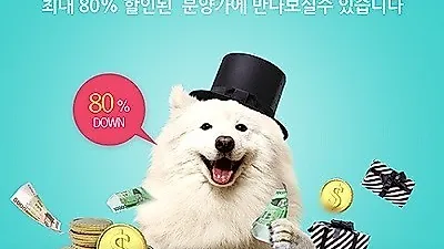 김포, 부천, 안양, 수원 등 8개 지점 운영 중인 애견 전문 베이비몽, 강아지분양 시 이벤트 진행