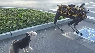 강아지와 로봇 개의 첫 만남