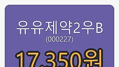 유유제약2우B마감가 17,350원 전일비 -0.29프로등락..