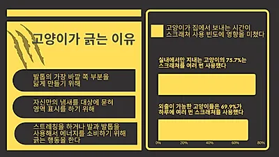 고양이의 긁기 본능 ‘스크래치’ 어떻게 관리할까?