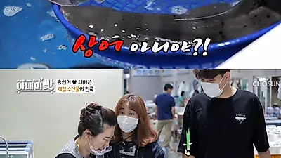 임자도 상어에 홍현희-제이쓴 `깜짝` 한마리 1만5천원