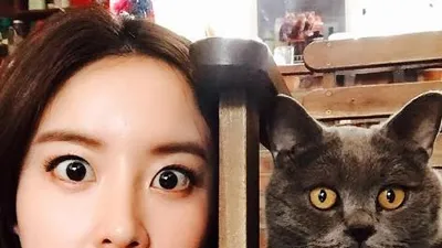 은가은, 고양이와 닮은 꼴 투샷 "지켜보고있다"