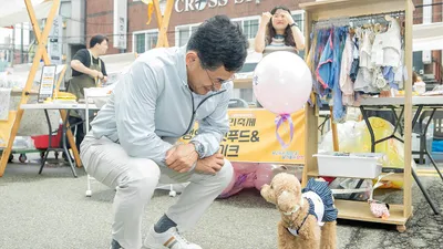 양천구, 동물등록 자진신고 접수…10월 31일까지 과태료 면제