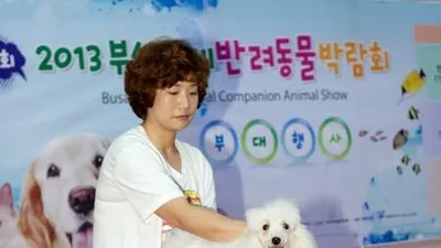 [포토]"애견 마사지는 이렇게", 부산국제반려동물박람회