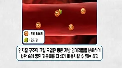 고혈압과 당뇨에 좋은 음식 크릴오일 뭐길래? 효능 '입이 떡'…먹는법과 부작용은?