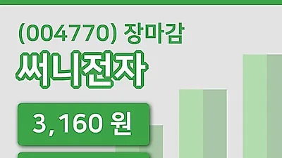 주식마감써니전자 17일 3,160원 장 마쳐그래프종합복습