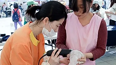 [포토] 동물보호축제 "예뻐지기 힘드네"