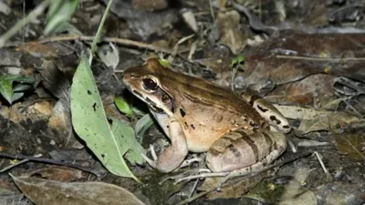 영국, 외곽 지역 내 환경 문제 '적신호'