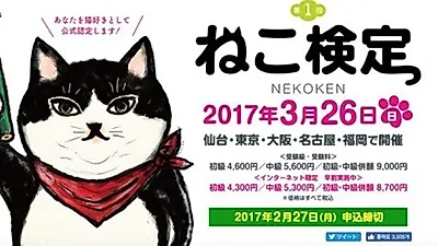 고양이에 대해 나는 얼마나 알까 '고양이 검정시험' 등장