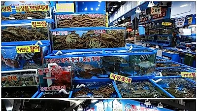 가락시장맛집 '놀부수산', 킹크랩, 대게, 모듬회 등 모임에 어울리는 다채로운 해산물 즐기기 좋은 곳