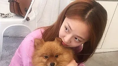다솜 반려견, 똘망똘망 눈동자와 앙증맞은 두 발 '귀요미'