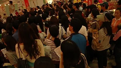 매년 펫박람회 전시행사를 치르면서