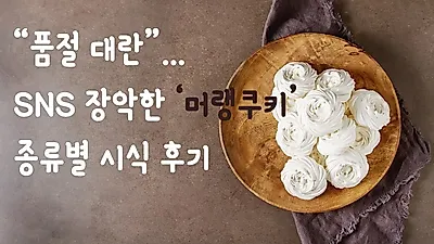 "품절 대란"… SNS 장악한 '머랭쿠키' 종류별 시식 후기 궁금하다면?