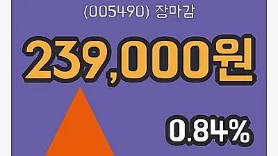 POSCO 4일 239,000원 장종료