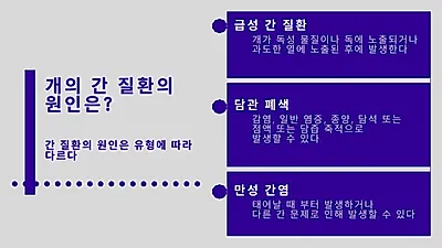 반려견 주의해야 할 ‘간 질환’ 유형과 원인은?