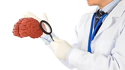 [뇌건강지키기]  뇌경색 초기증상  방치하면  나만 손해…  먹는 것부터 바꾸자