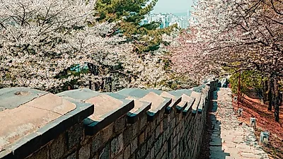 청년들 지갑 채우는  청년기본소득 정책  11월 시작하자마자  기회 돌아온다…혜택 어떤 것 있을까?