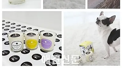 6차 매일매일 애견 체험용품 "퐁당 펫 캔들 3종 "