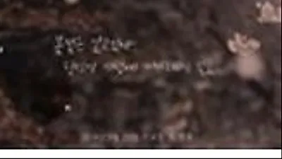 '봄밤' 감독, '밥 잘 사주는 예쁜 누나' 언급 "차별점 주겠다는 생각 전혀 없다"