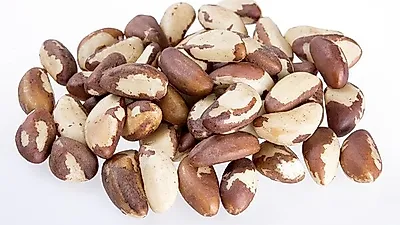 브라질너트 대체 뭐길래…많이 먹으면 안된다?