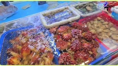 삼길포항 수산물 구매, 5천 원 더 주고 수산물직판장을 선택한 이유