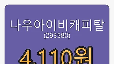 나우아이비캐피탈마감가 4,110원, 전일비 1.61프로등락..