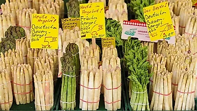 항산화 작용과 항암 효과를 가진 '아스파라거스'의 다양한 효능
