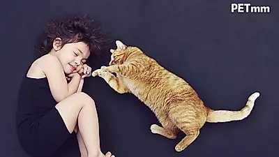 펫밀리족의 이목을 끌고있는 반려동물용품 브랜드 '펫미리'