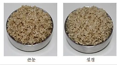 농진청이 꼽은 식감 부드러운 현미밥 품종은