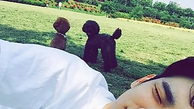 샤이니 키 반려견과 평화로운 산책길
