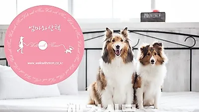 '슈퍼독 강아지들과 함께 하는 크리스마스파티'