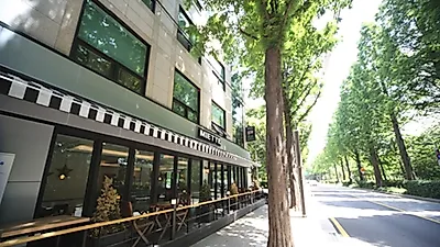 요즘 강남 직장인들의 워라밸? 고즈넉한 도곡동 카페거리 맛집 탐방과 카페에서의 여유