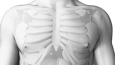 '윗배가 아프다면?'...췌장염의 증상 및 췌장에 좋은 음식